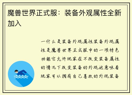 魔兽世界正式服：装备外观属性全新加入
